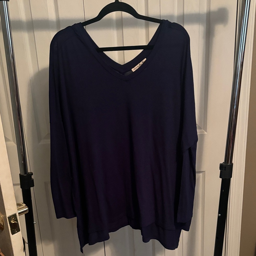 Express Deep Blue V-Neck Sweatshirt